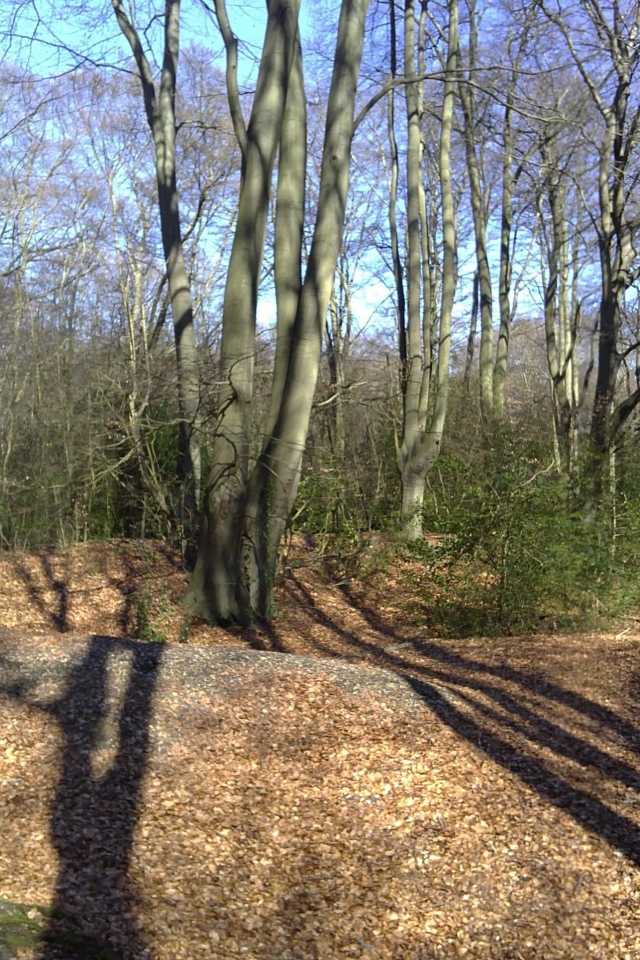 Loughton Camp