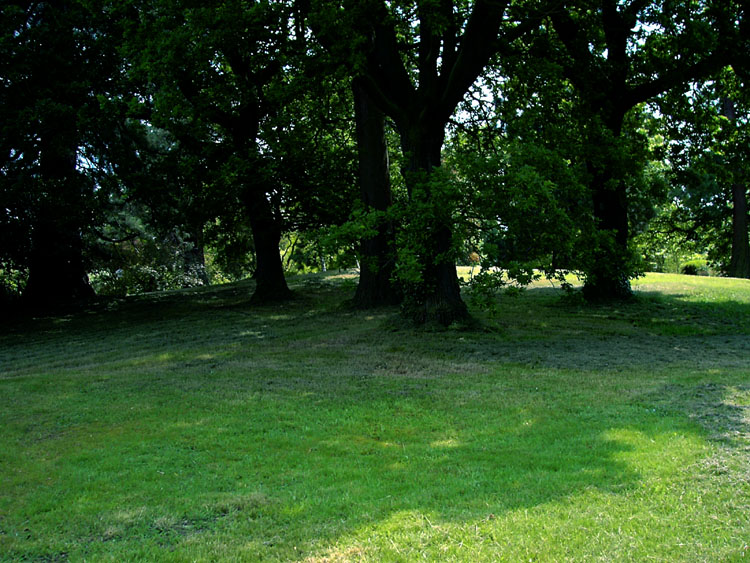 Click for the gallery page to add comments and vote (PID:7582) Lexden Tumulus