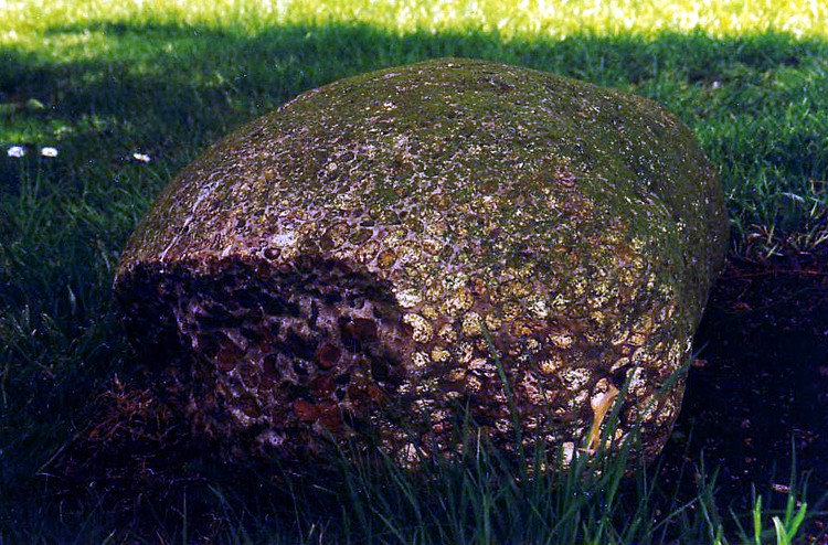 Tilty Puddingstone