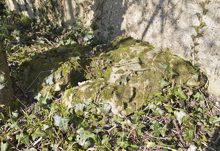 Click for the gallery page to add comments and vote (PID:54851) Parvills Puddingstone