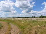 Wigborough Henge - PID:259614