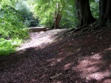 Click for full size image of Ambresbury Banks (PID:16108) Ambresbury Banks
