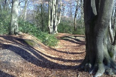 Loughton Camp