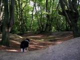 Loughton Camp submitted by Thorgrim