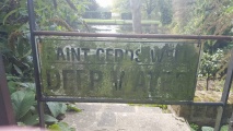 St. Cedd's Well (North Ockendon)