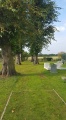 St. Cedd's Well (North Ockendon)