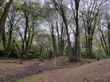 Click for full size image of Ambresbury Banks (PID:272891) Ambresbury Banks