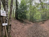 Click for full size image of Ambresbury Banks (PID:272895) Ambresbury Banks