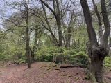 Click for full size image of Ambresbury Banks (PID:272893) Ambresbury Banks