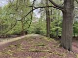 Click for full size image of Ambresbury Banks (PID:272894) Ambresbury Banks