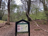 Click for full size image of Ambresbury Banks (PID:272892) Ambresbury Banks