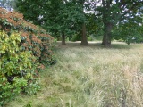 Lexden Tumulus - PID:256483