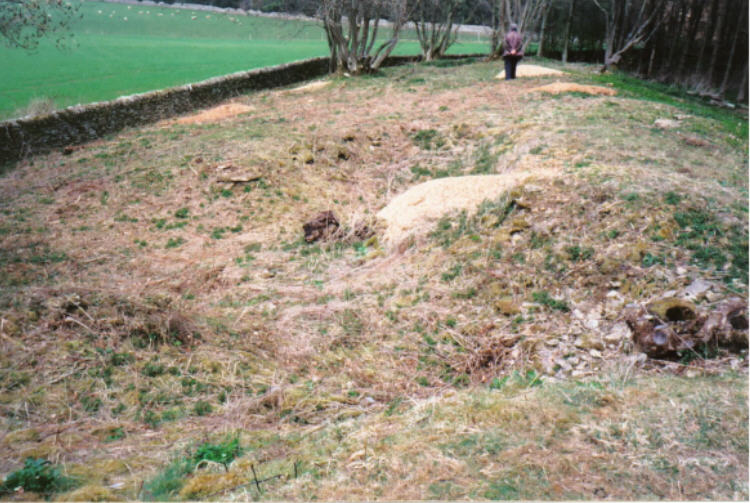 Click for the gallery page to add comments and vote (PID:5386) Lamborough Banks