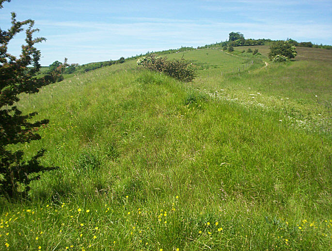 Coberley