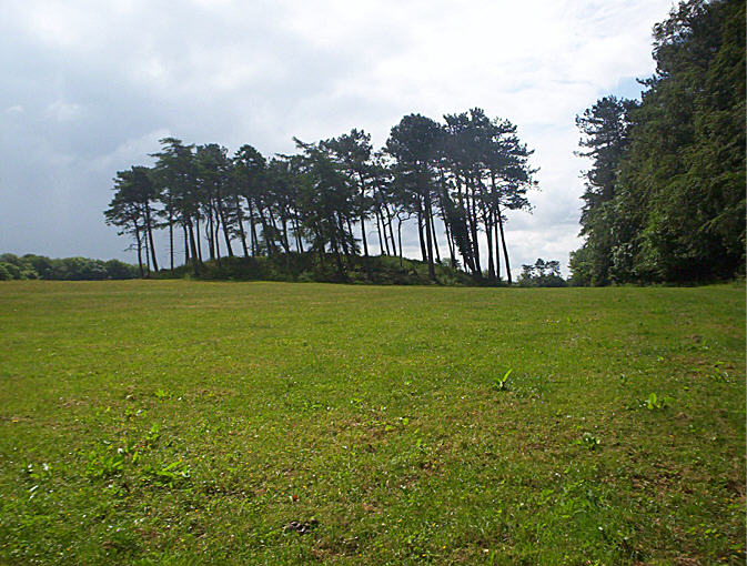 Crippet's Barrow