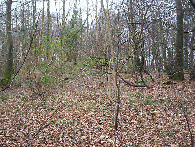 This is the very devil to find but here we go.Follow Buckle road to the saw mills and park there.Walk back up the road for about 100mtrs look for a mountain bike track on the right.Follow this track,cross a horsey path and follow track 'till you reach a wide horsey path.Follow this path up the hill ,when you reach the top cut to the right across the woods-no path here- you will see the Barrow thro