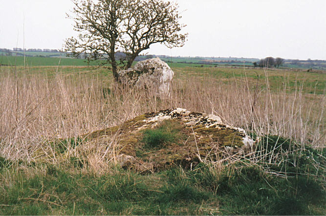 Hoar Stone at Duntisbourne