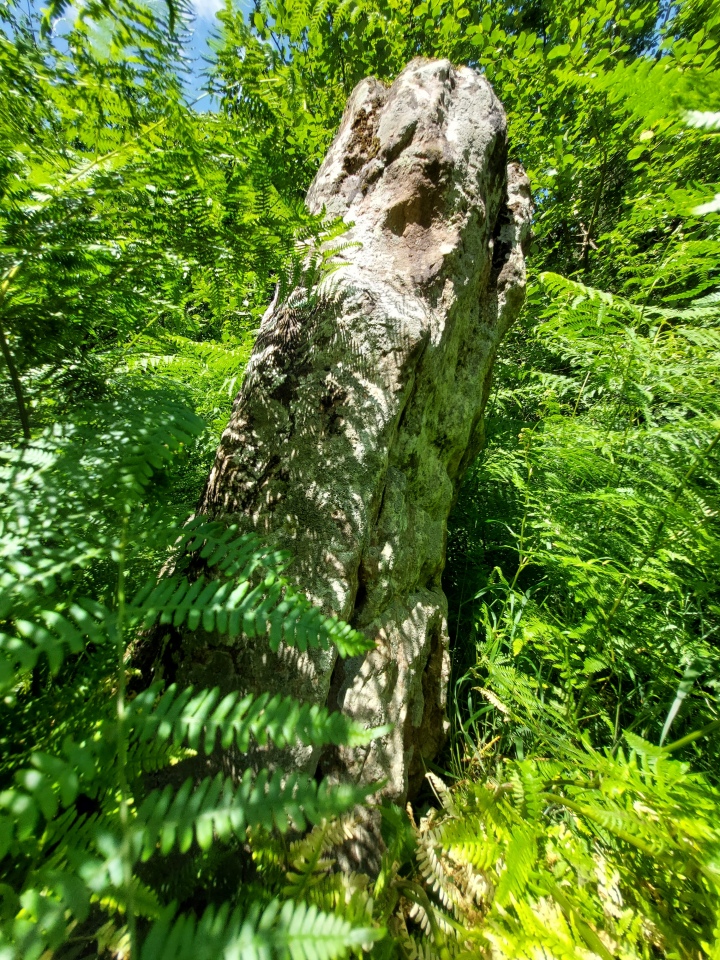 Long Stone, Staunton