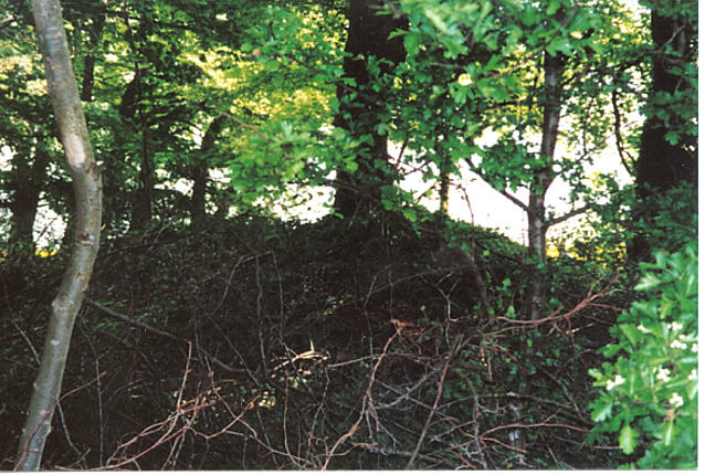 On the road from Waterlane to Bisley you will pass on the right a clay pigeon shoot, the barrow is just up the road by a public footpath. It is very over grown and difficult to access so be careful.