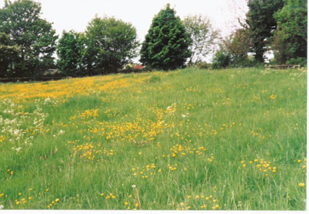 Click for the gallery page to add comments and vote (PID:10748) Avenis Barrow