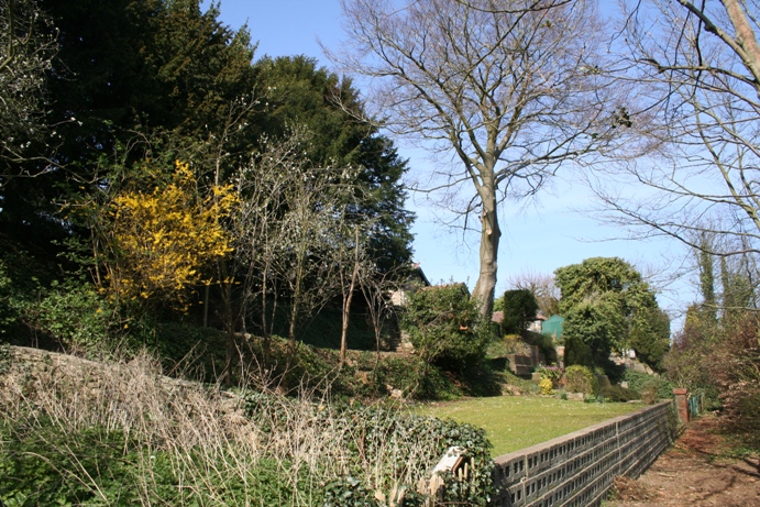 Knole Park Camp