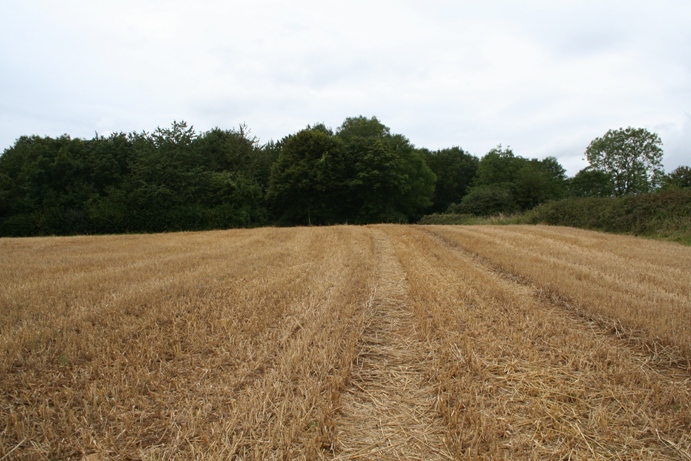 Beverston Barrow 2