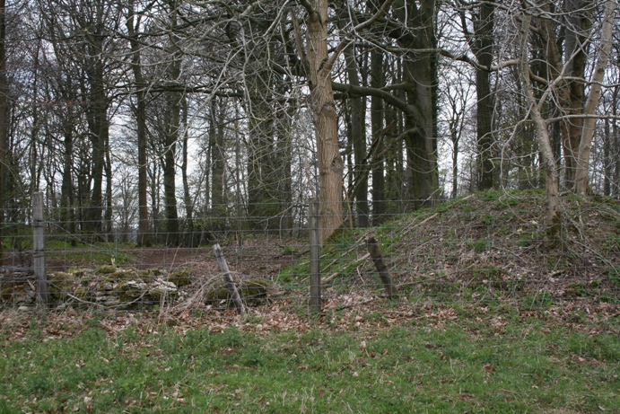 Birdlip Camp