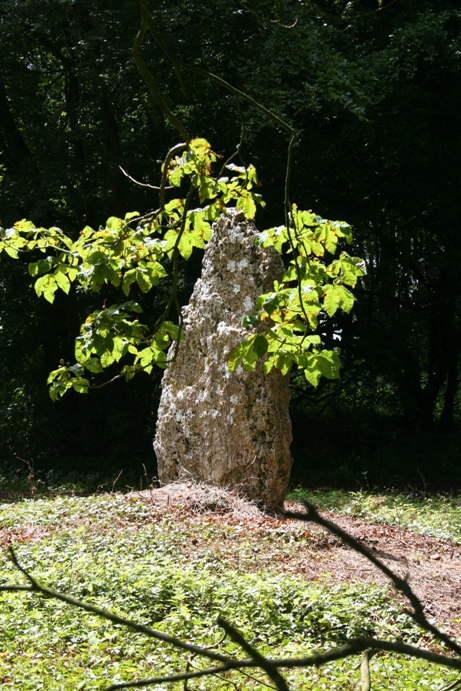 Boxwell Lodge, Gloucestershire | Megalithic Portal