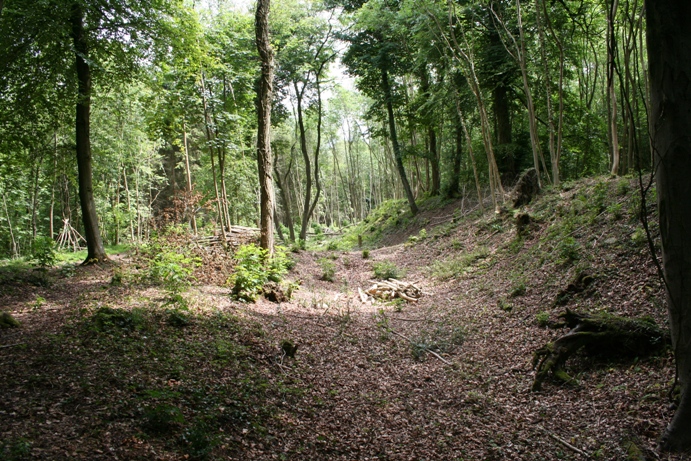 Brackenbury Ditches