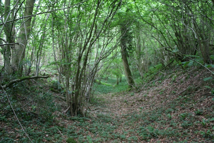 Brackenbury Ditches