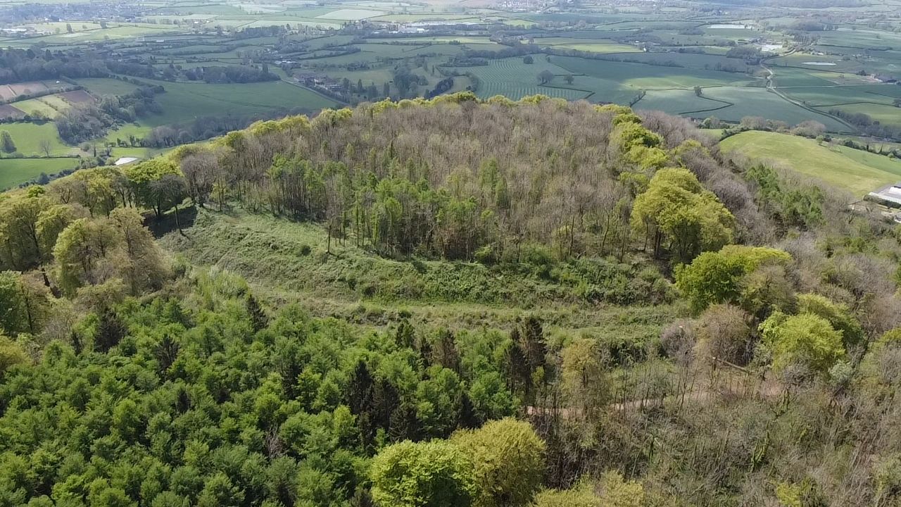 Brackenbury Ditches