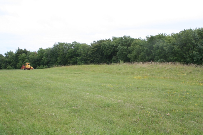 Buckholt Wood