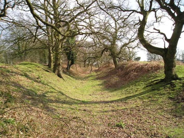 Bury Hill Camp (Winterbourne)