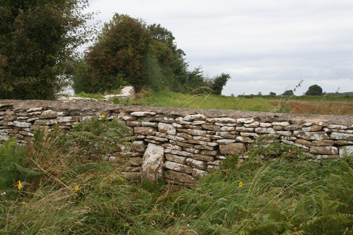 Warren Tump (Gloucestershire)
