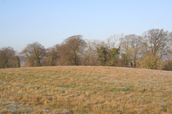 Wellhill Copse Barrow