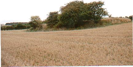 Click for the gallery page to add comments and vote (PID:3468) Cow Common Long Barrow