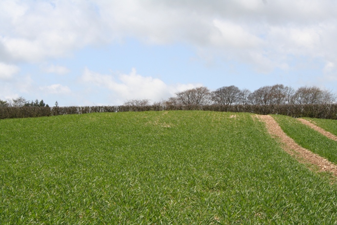 Climperwell Round Barrows