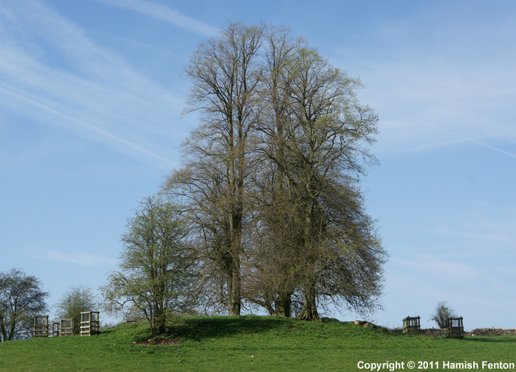 Swell Wold round barrow