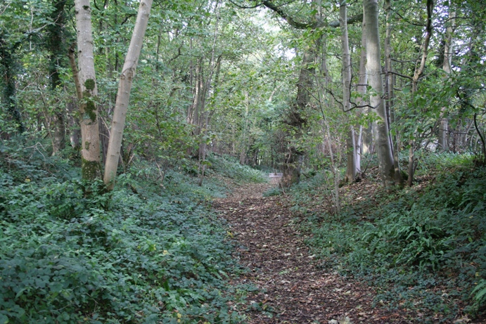 Elberton Camp