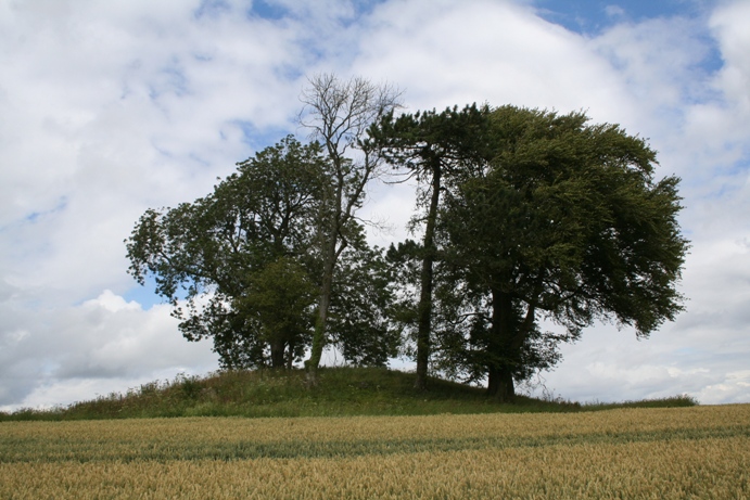 Barrow Clump
