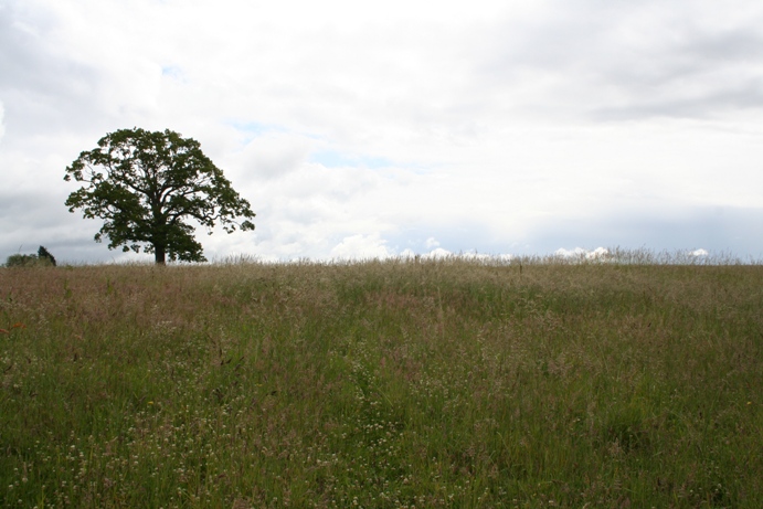 Haresfield Barrow