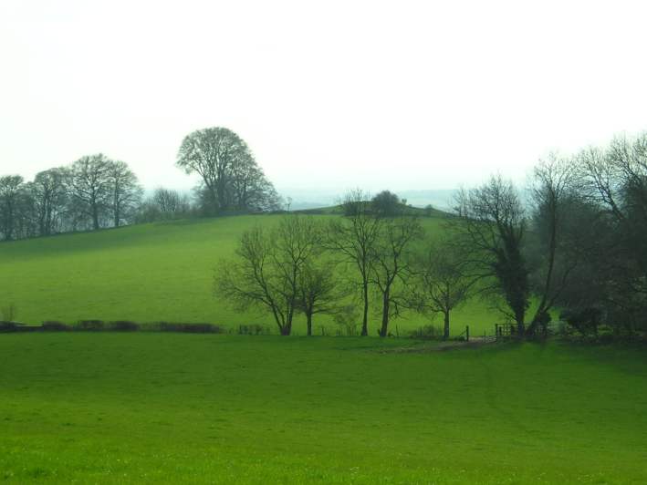 Hawkesbury Knoll