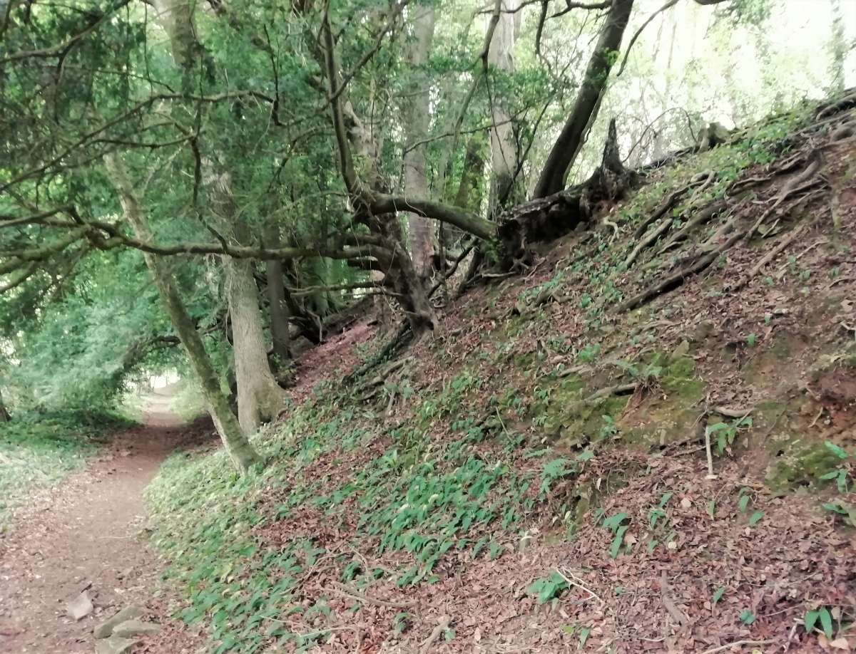 Click for the gallery page to add comments and vote (PID:210477) Offa's Dyke near Brockweir