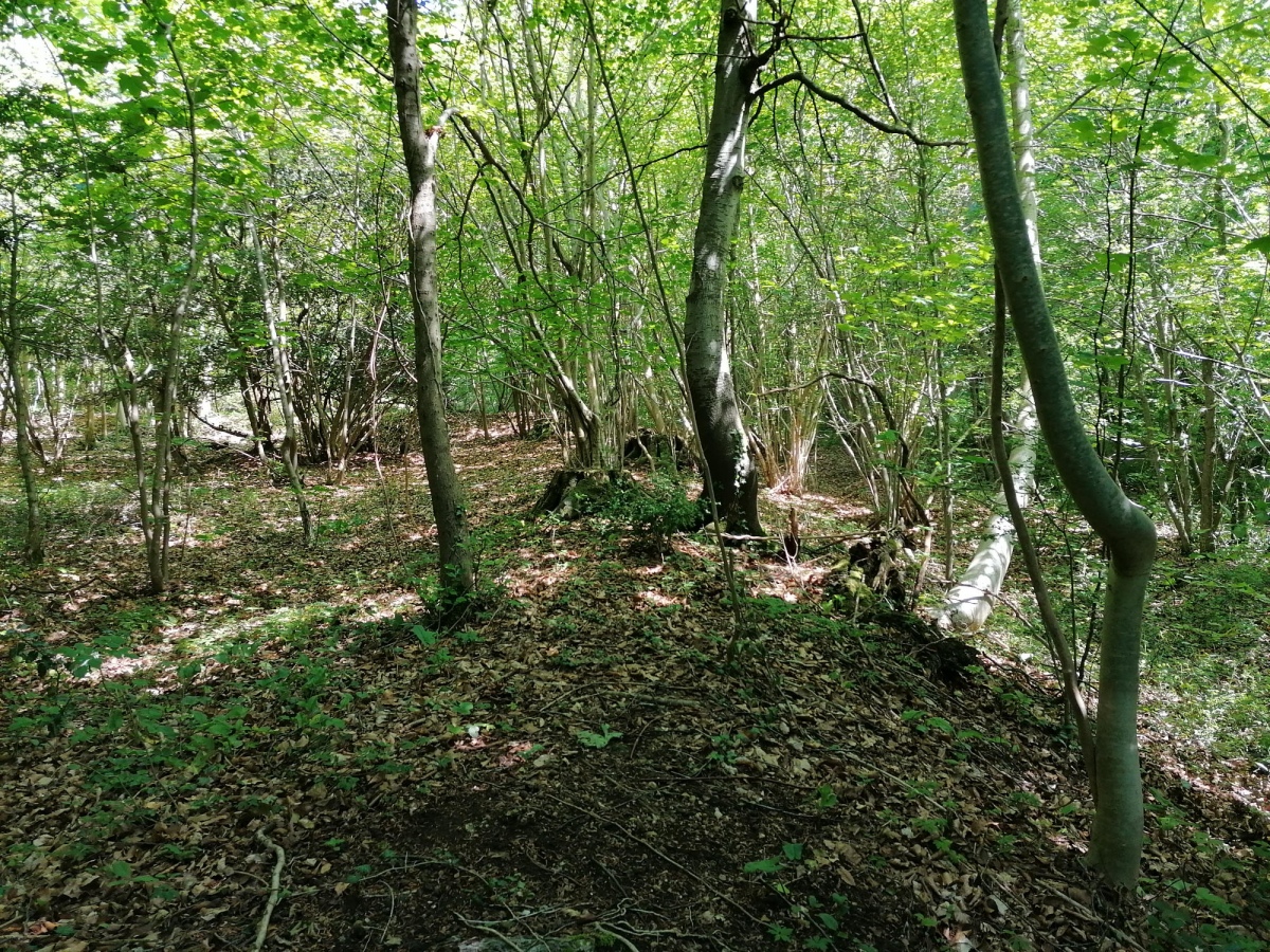 Cranham Corner Earthworks