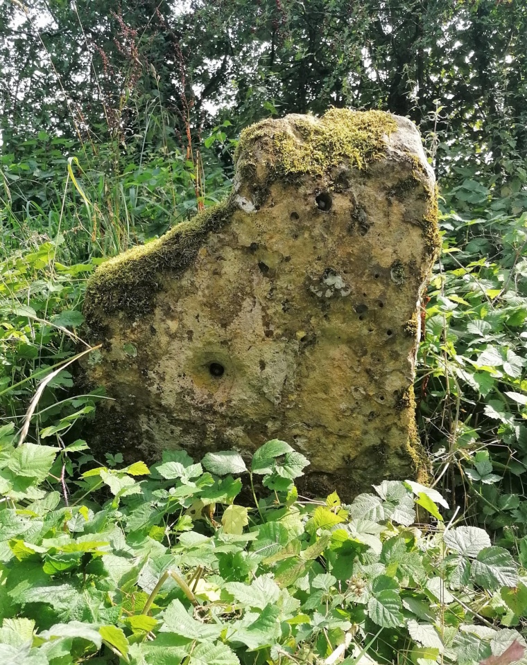 The Kiftsgate Stone was well hidden amongst undergrowth, despite being just to the side of the road and Cotswold Way. Looked to me like it might possibly have once been part of a longbarrow chamber. 