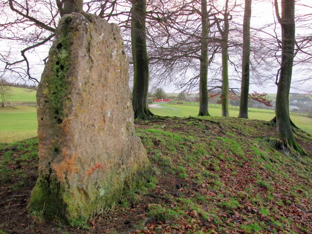 The Tingle Stone