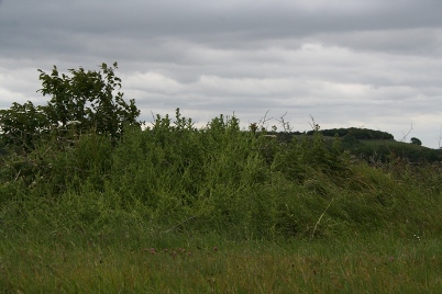 Woodchester Beaker Barrow