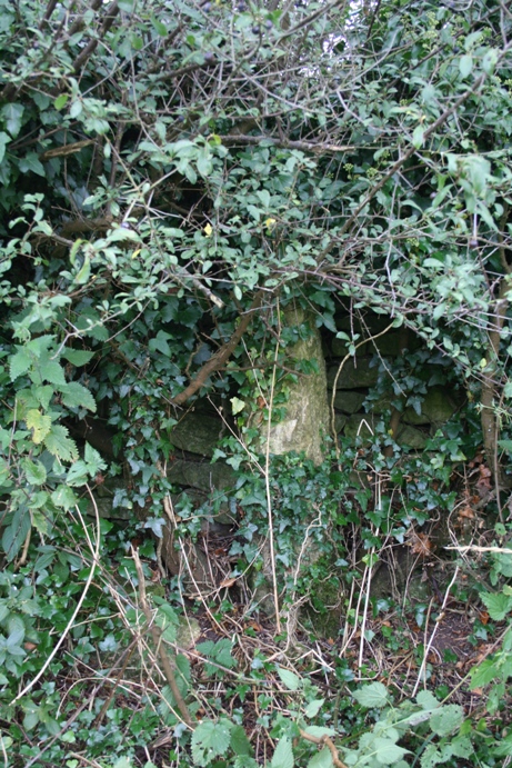 Kingscote Standing Stones