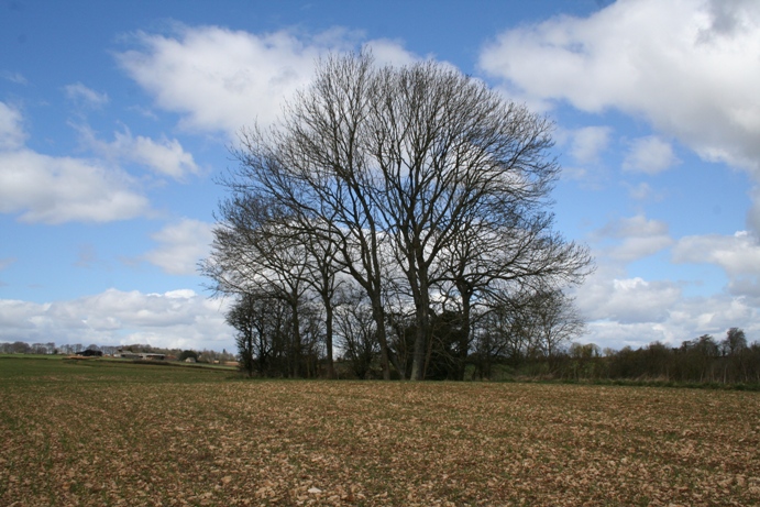 Woodleaze Bowl Barrow