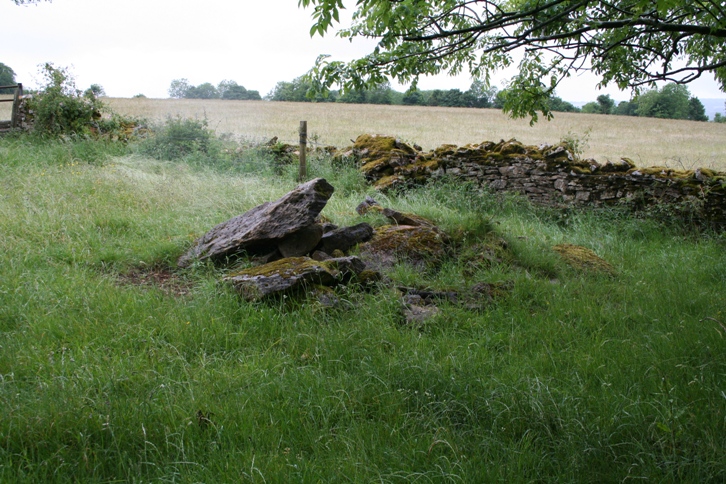 Oldfield Wood